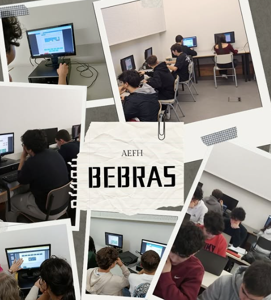 Participação - Bebras [2024/2025]