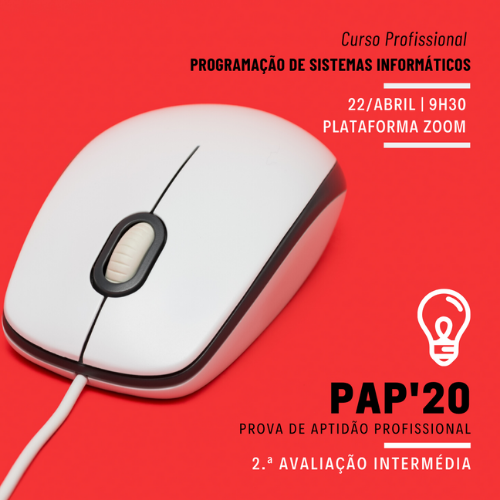 PAP - 2.ª Avaliação Intermédia via plataforma Zoom