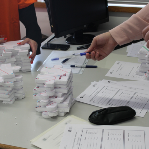 Peddy Paper - Em Busca do Conhecimento